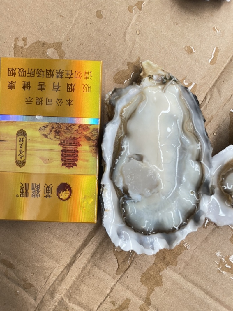 高压锅生蚝，乳山蚝三倍体，自家蚝场，价格优惠，全国发货