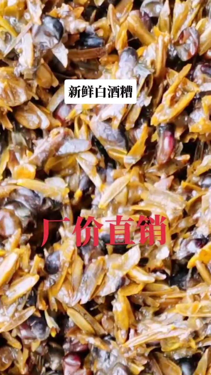 长期供应啤酒糟，白酒糟，价格优惠，厂价直销