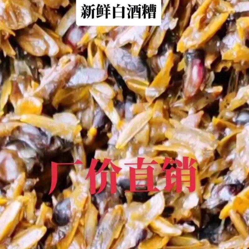 长期供应啤酒糟，白酒糟，价格优惠，厂价直销