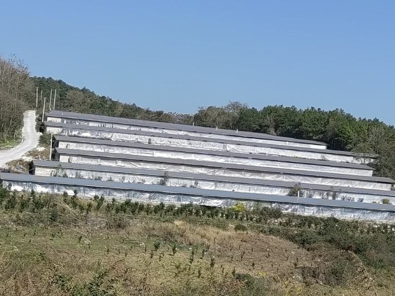 厂房出租