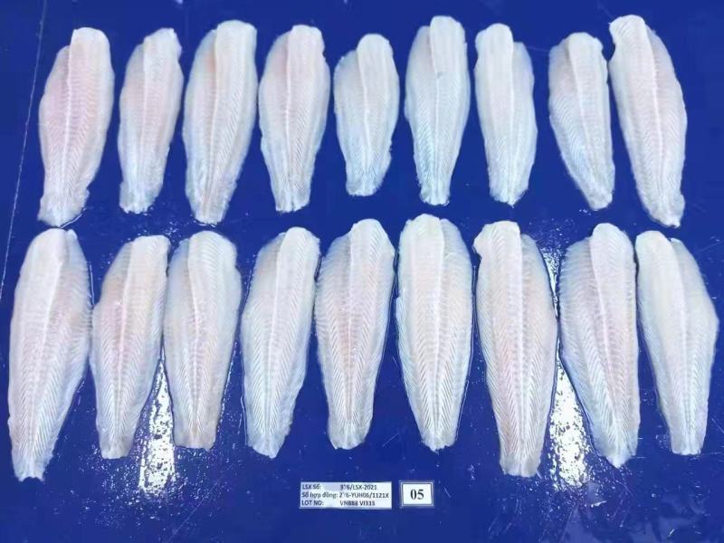 巴沙鱼