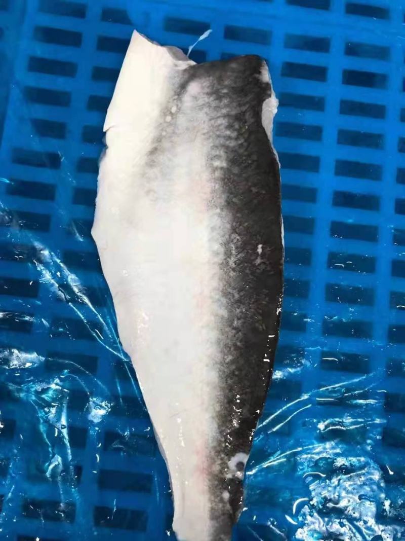 巴沙鱼
