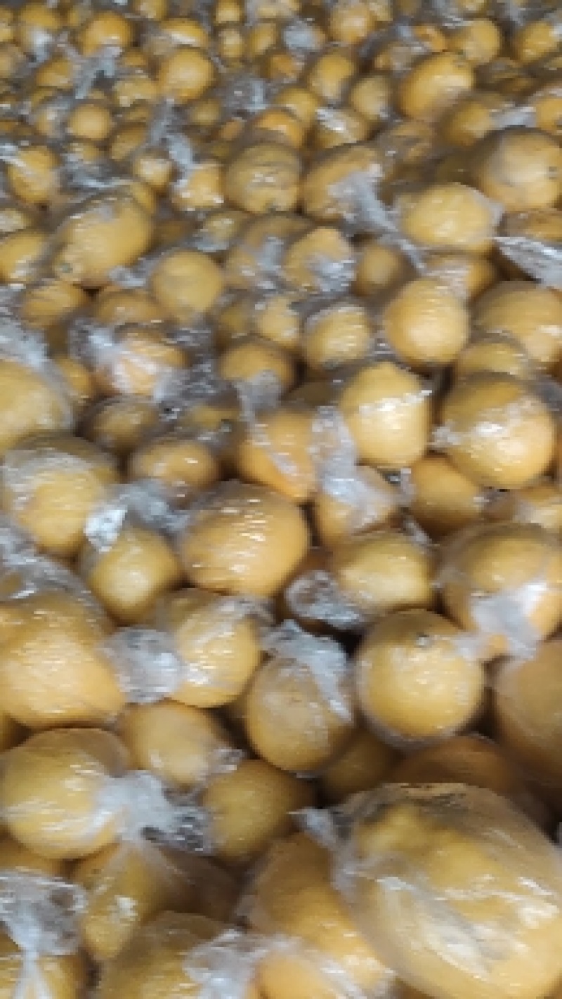 注意！大量出售，柠檬榨汁果，工厂果，冻干厂鲜果跟居行情价