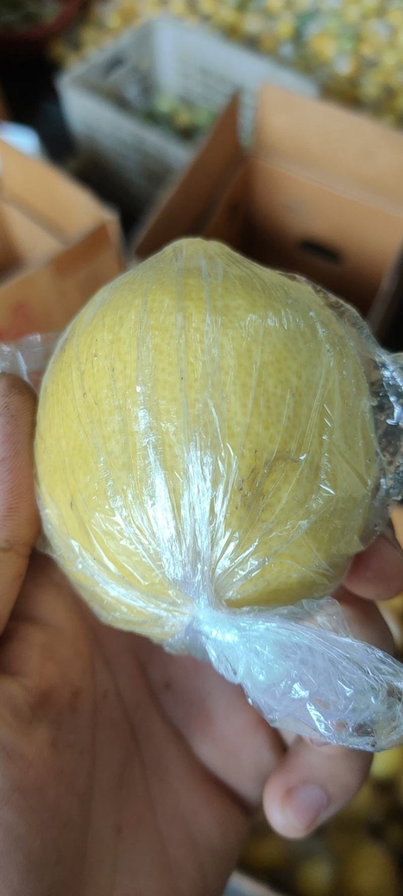 注意！大量出售，柠檬榨汁果，工厂果，冻干厂鲜果跟居行情价