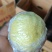 注意！大量出售，柠檬榨汁果，工厂果，冻干厂鲜果跟居行情价