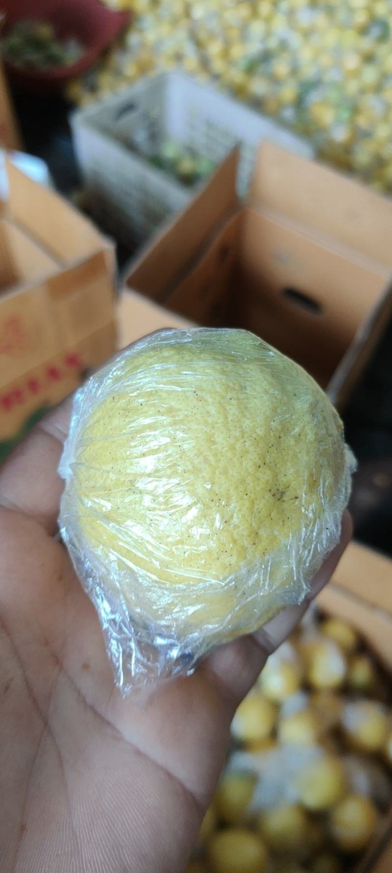 注意！大量出售，柠檬榨汁果，工厂果，冻干厂鲜果跟居行情价