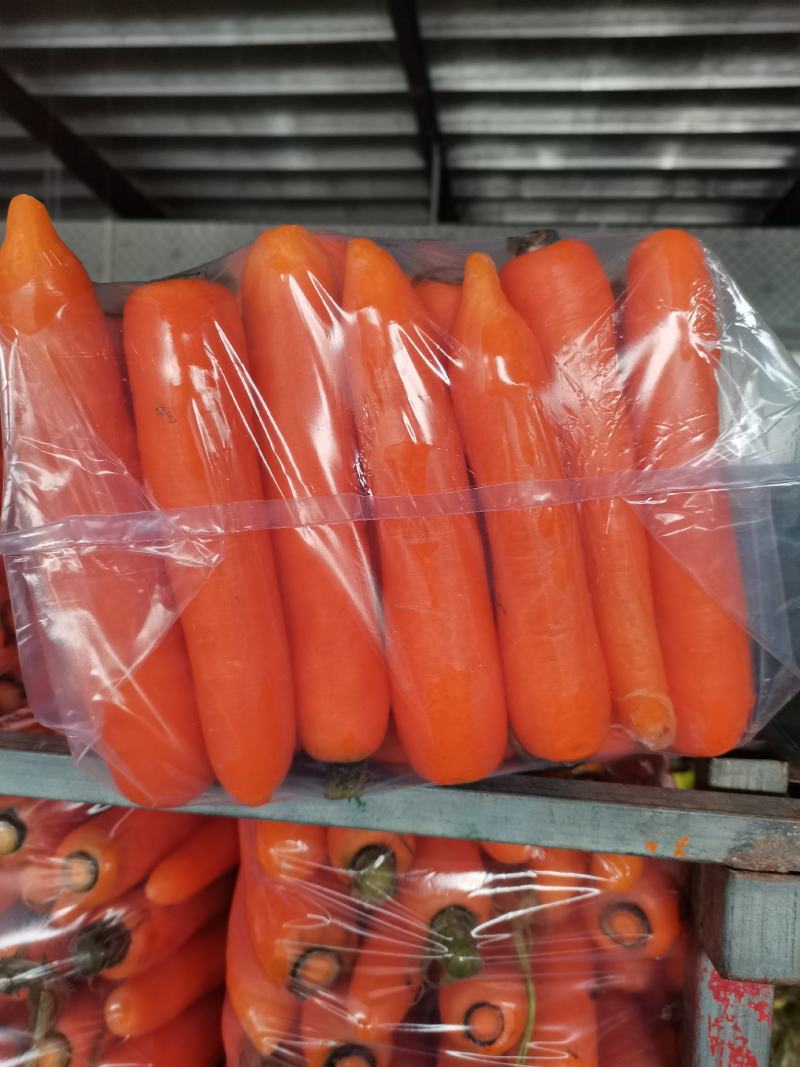 胡萝卜，商超品质，基地直发诚信经营，欢迎各位老板前来选
