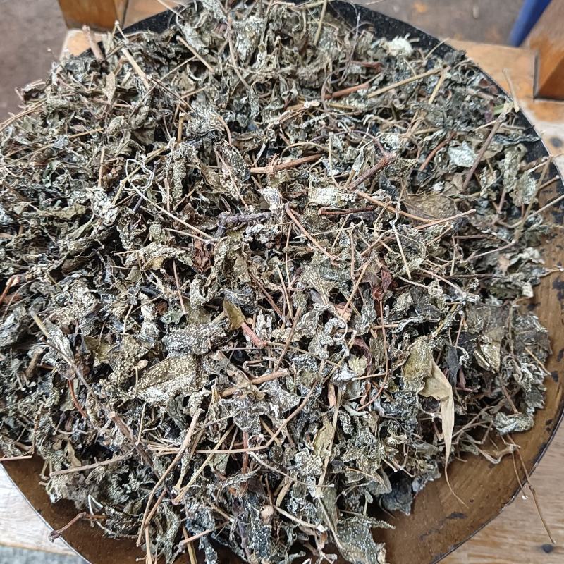 藤茶别名白茶溪黄茶甘露藤茶龙须茶莓茶茶叶