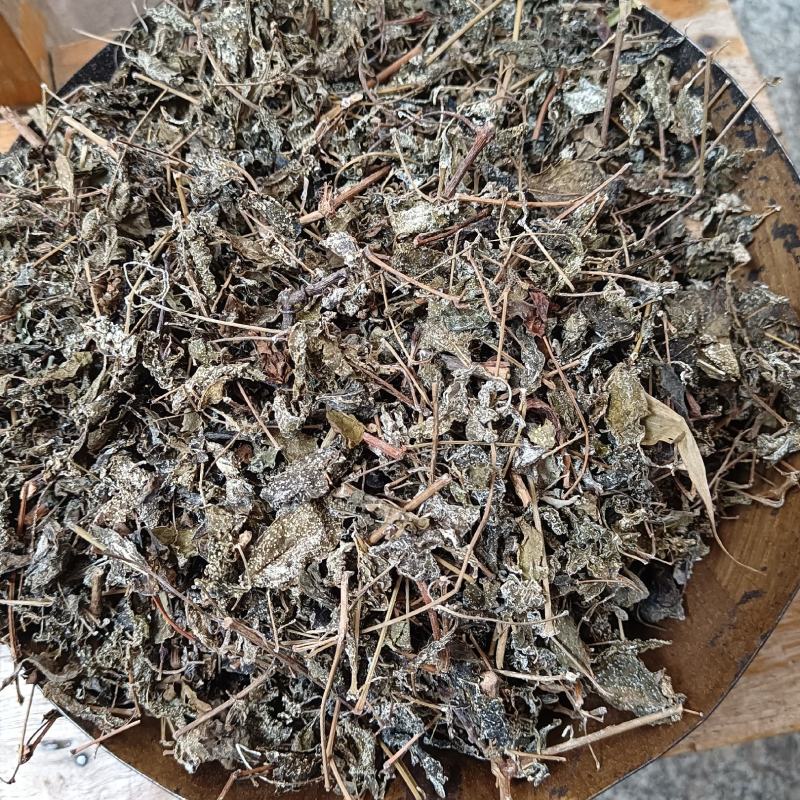 藤茶别名白茶溪黄茶甘露藤茶龙须茶莓茶茶叶