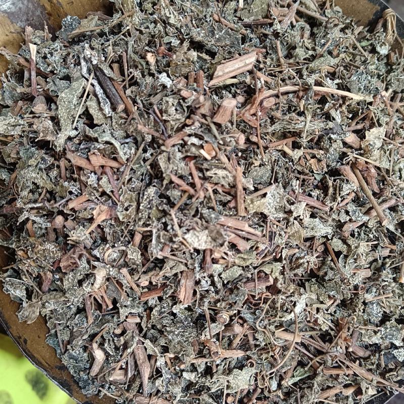 藤茶别名溪黄茶甘露藤茶龙须茶莓茶茶叶白茶