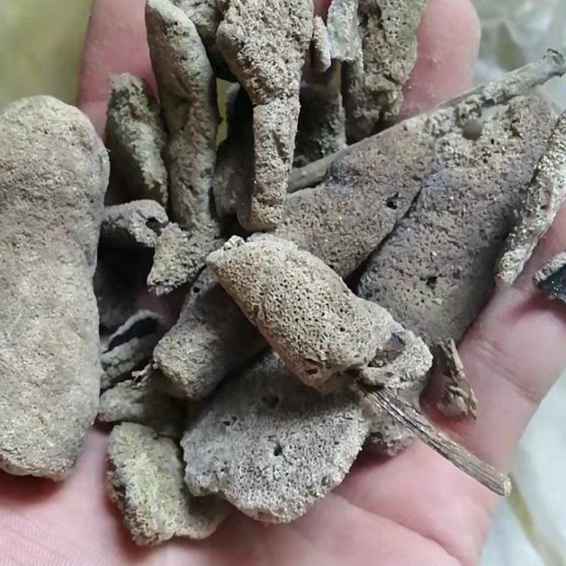 紫梢花紫霄花紫霄花紫梢花紫稍花淡水海绵