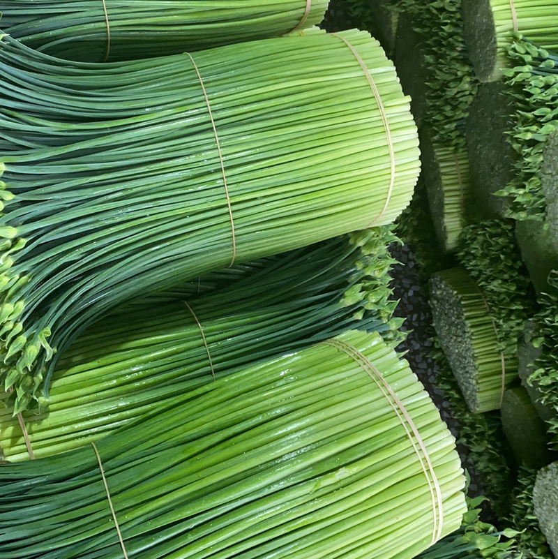 韭苔广东精品韭苔大量上市货源充足常年供应全国发