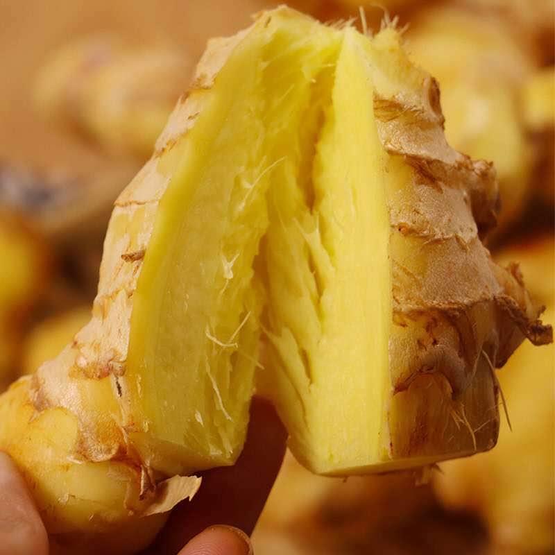 【推荐】大黄姜辣味足块头大色泽鲜黄支持全国发货保质保量