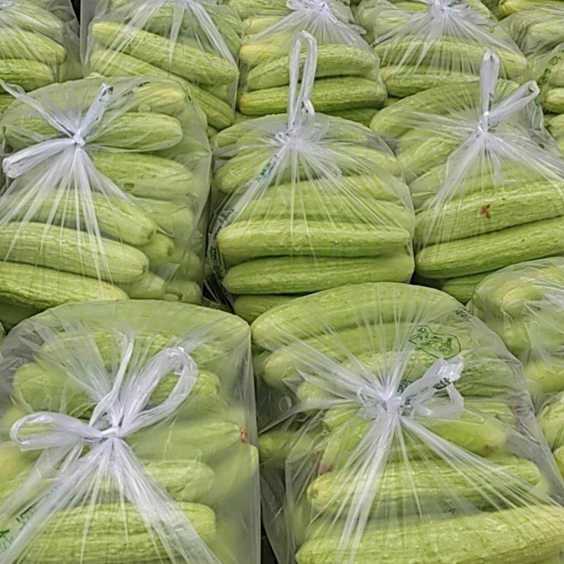 湖北荆州新鲜白黄瓜大量上市了欢迎咨询