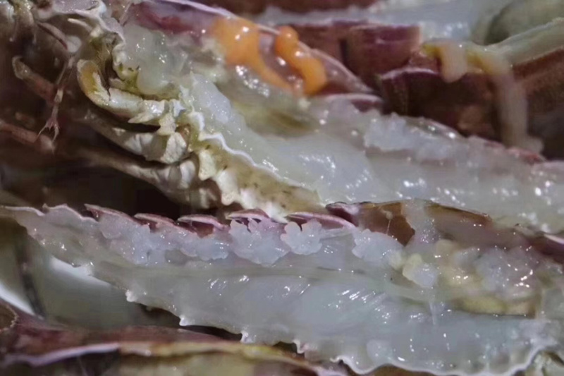 深海怪物琵琶虾，虽然长相奇特，但是肉质鲜嫩，味美可口
