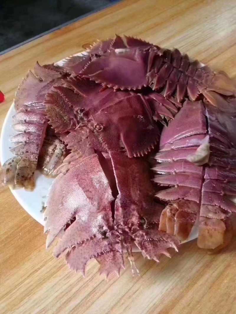 深海怪物琵琶虾，虽然长相奇特，但是肉质鲜嫩，味美可口