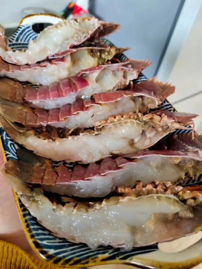 深海怪物琵琶虾，虽然长相奇特，但是肉质鲜嫩，味美可口