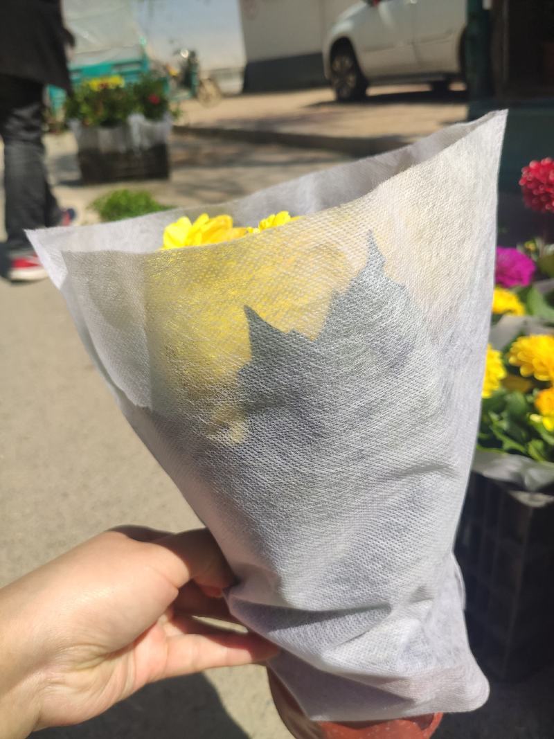 大丽花