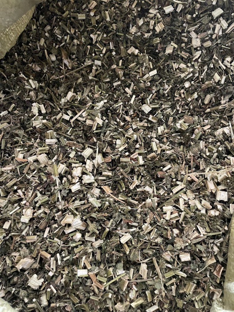 益母草正品大货量大从优常年供批发零售