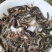 台湾泥鳅苗快大种，良种，抗病能力强，包邮