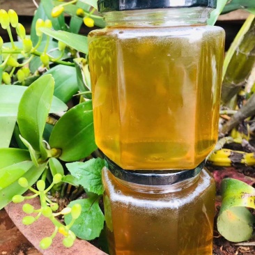 云南西双版纳高山蜂蜜