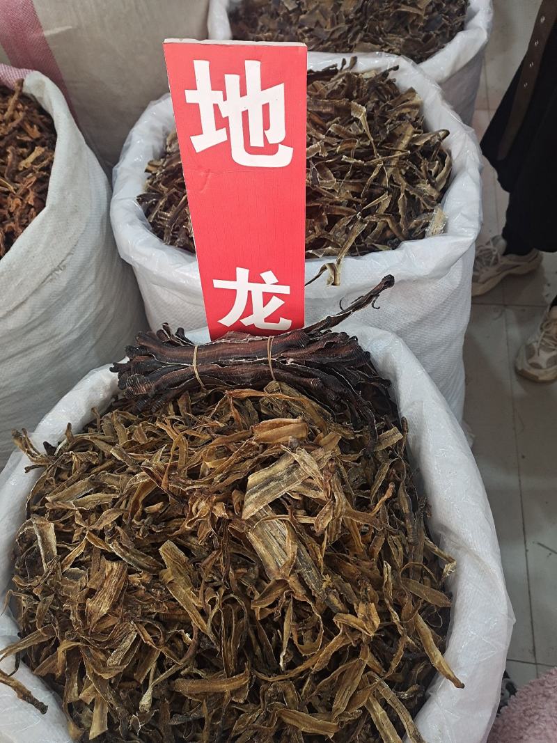 地龙地龙干全开无泥地龙整个子地龙地龙片地道中材