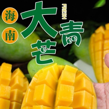 海南高山三亚保亭90天老果青皮芒中小果六量起步。