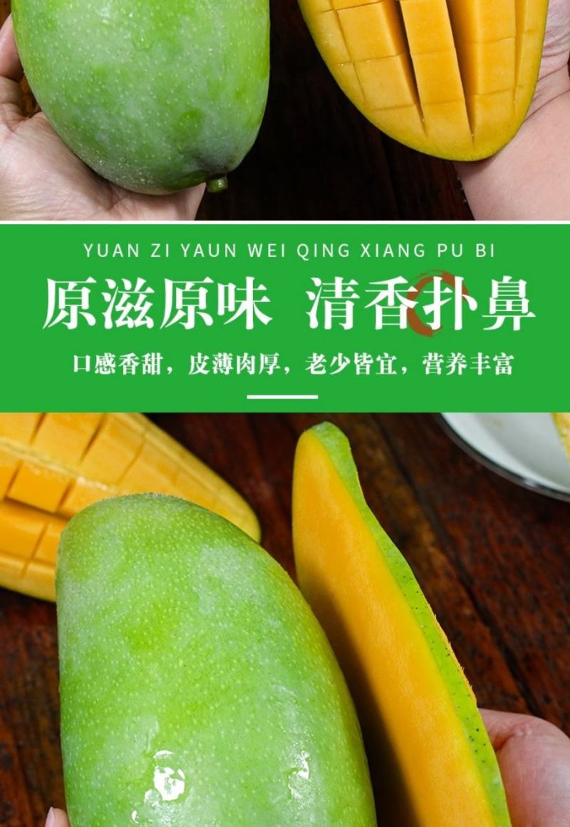 海南高山三亚保亭90天老果青皮芒中小果六量起步。