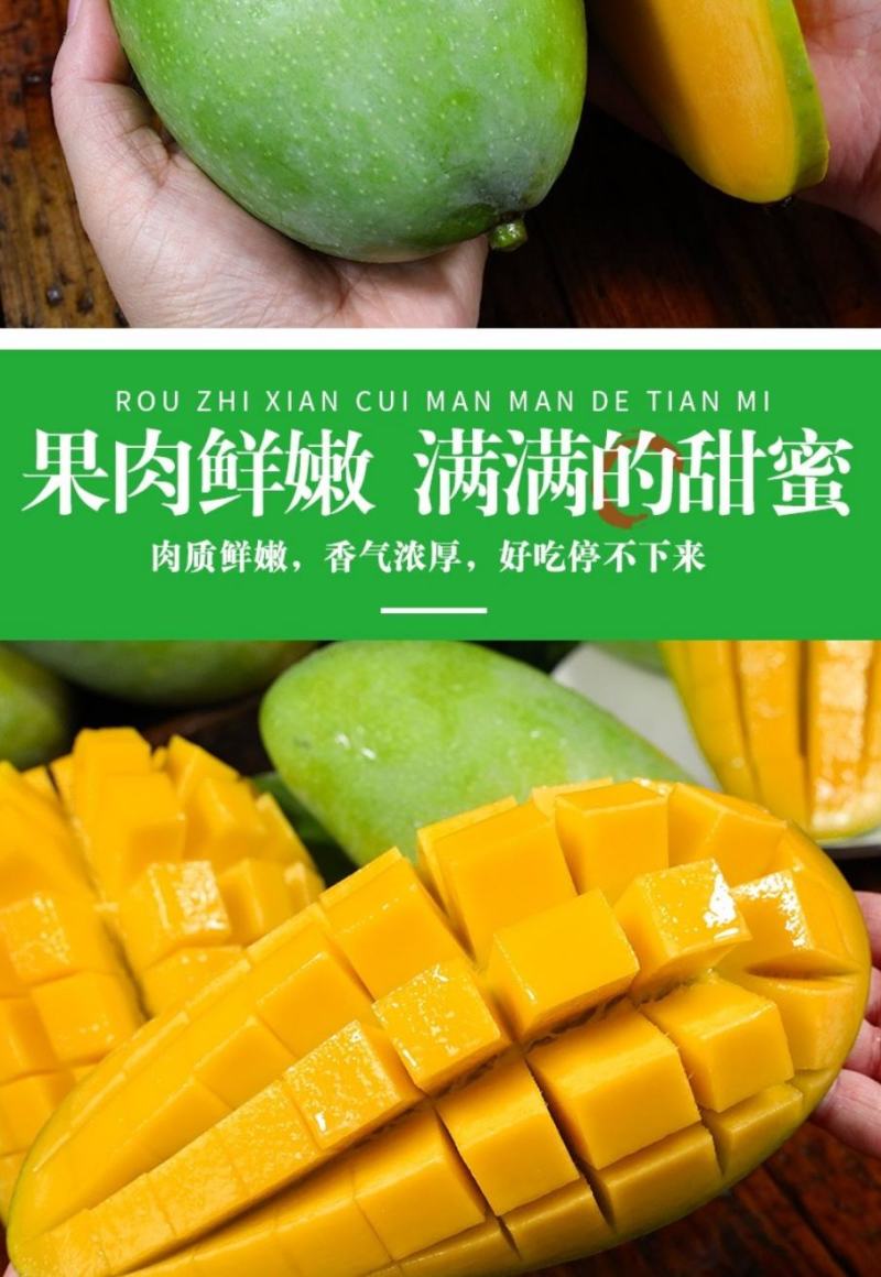 海南高山三亚保亭90天老果青皮芒中小果六量起步。