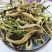 云南野生中药材石伟，优质正品，500g起发