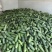 毛节瓜大量上市，欢迎各位老板电商咨询