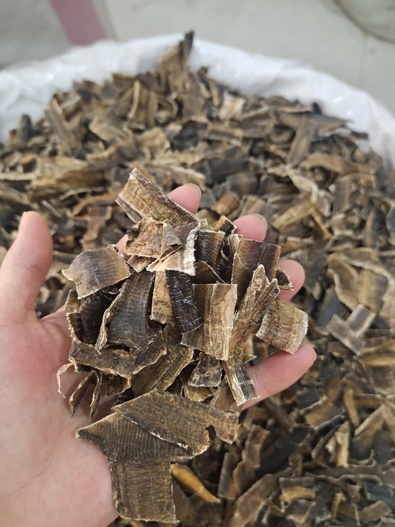 地龙地龙干全开无泥地龙整个子地龙片地道中药材