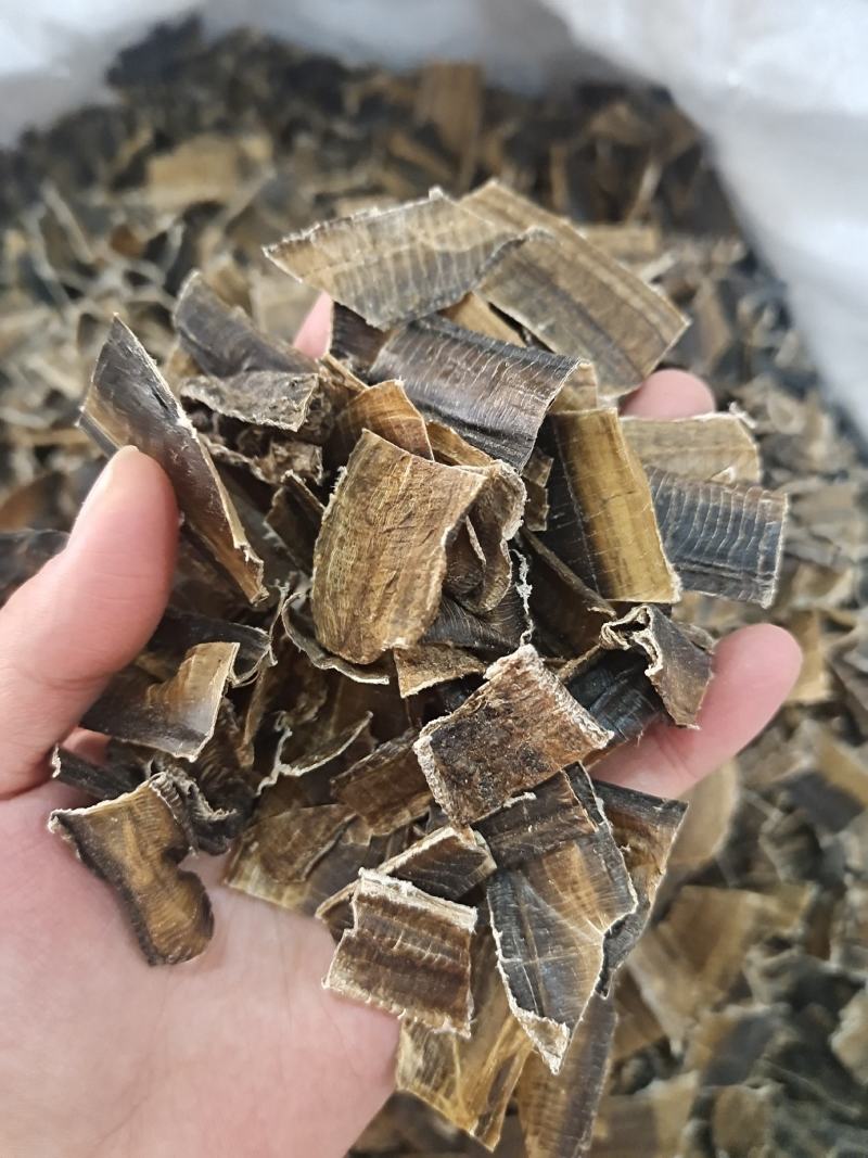 地龙地龙干全开无泥地龙整个子地龙片地道中药材