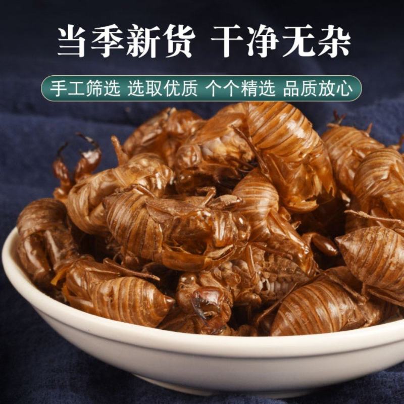 蝉蜕土蝉蜕水洗蝉蜕手工筛选干净无杂质地道中药材