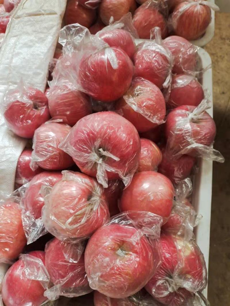 大山上的纸加膜红富士苹果，货源充足，以质论价，货挺漂亮
