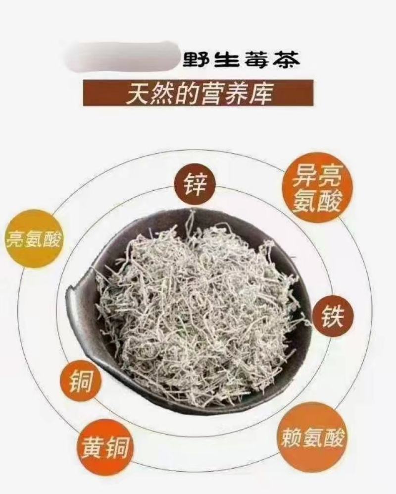 张家界藤茶嫩芽明前野生自产自销回味悠长