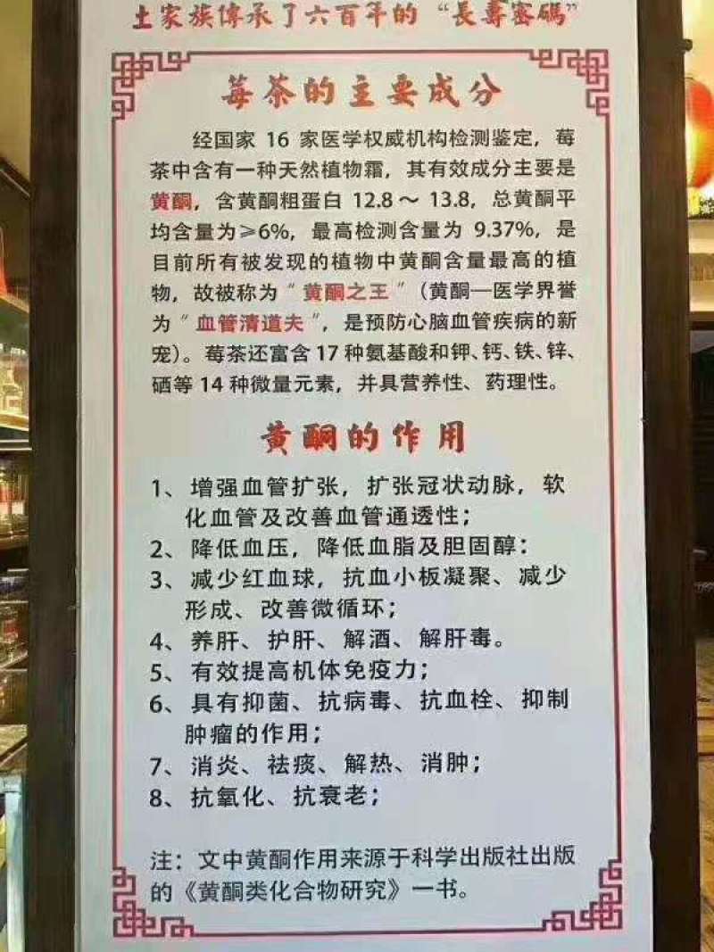 张家界藤茶嫩芽明前野生自产自销回味悠长