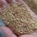 【热销】豆粕膨化粕片粕蛋白45个适用于猪牛育肥