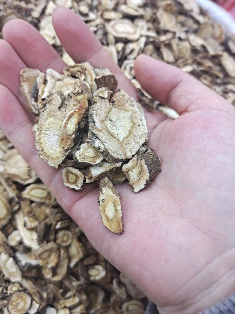 前胡前胡片少毛前胡天地道中药材统货选货前胡常年加工