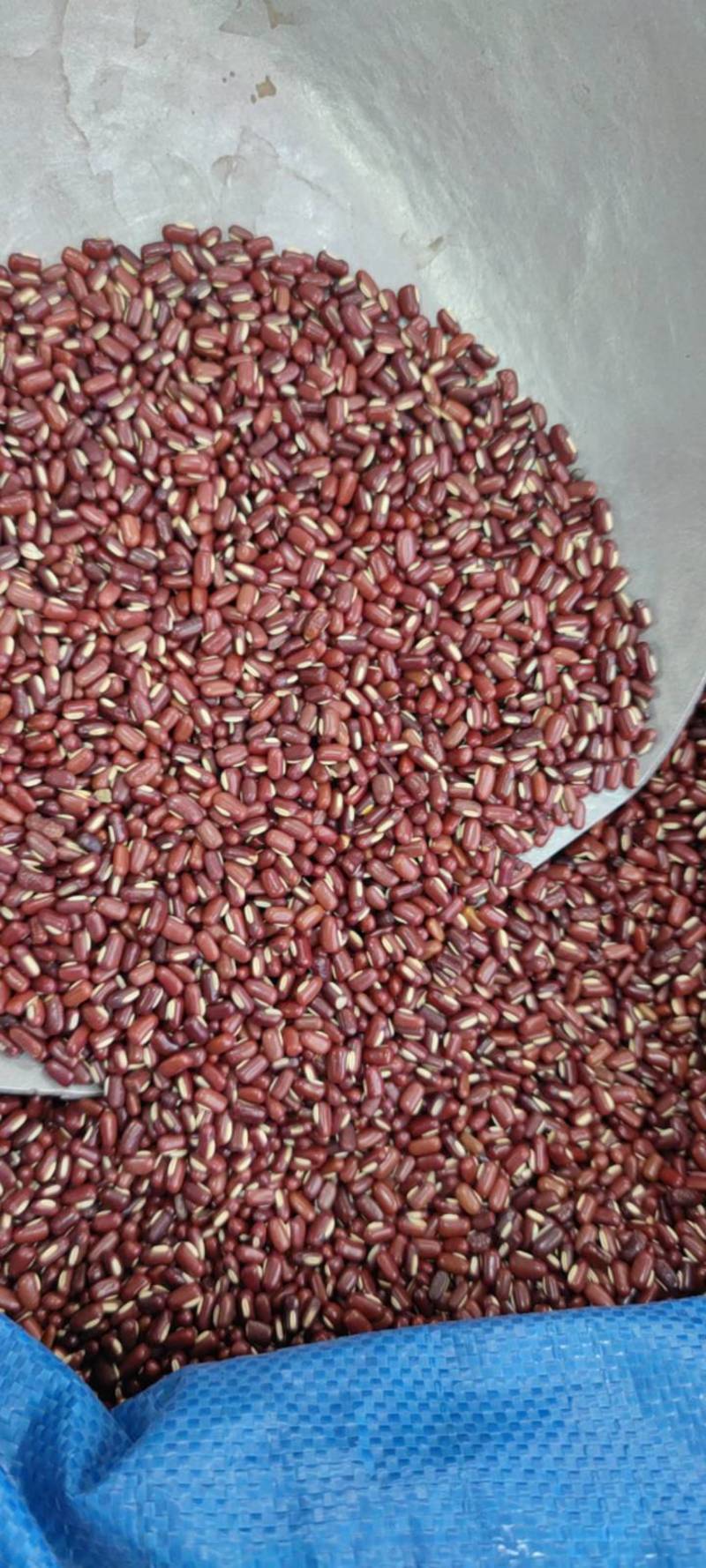 赤小豆红豆净货各种籽药新货批发各种中药材