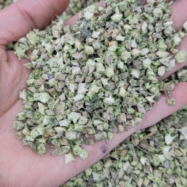 蒺藜刺蒺藜净货各种籽药新货各种中药材