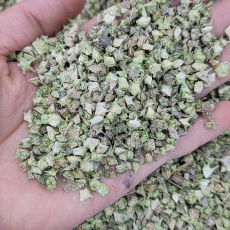 蒺藜刺蒺藜净货各种籽药新货各种中药材