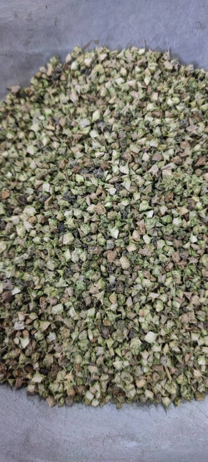 蒺藜刺蒺藜净货各种籽药新货各种中药材