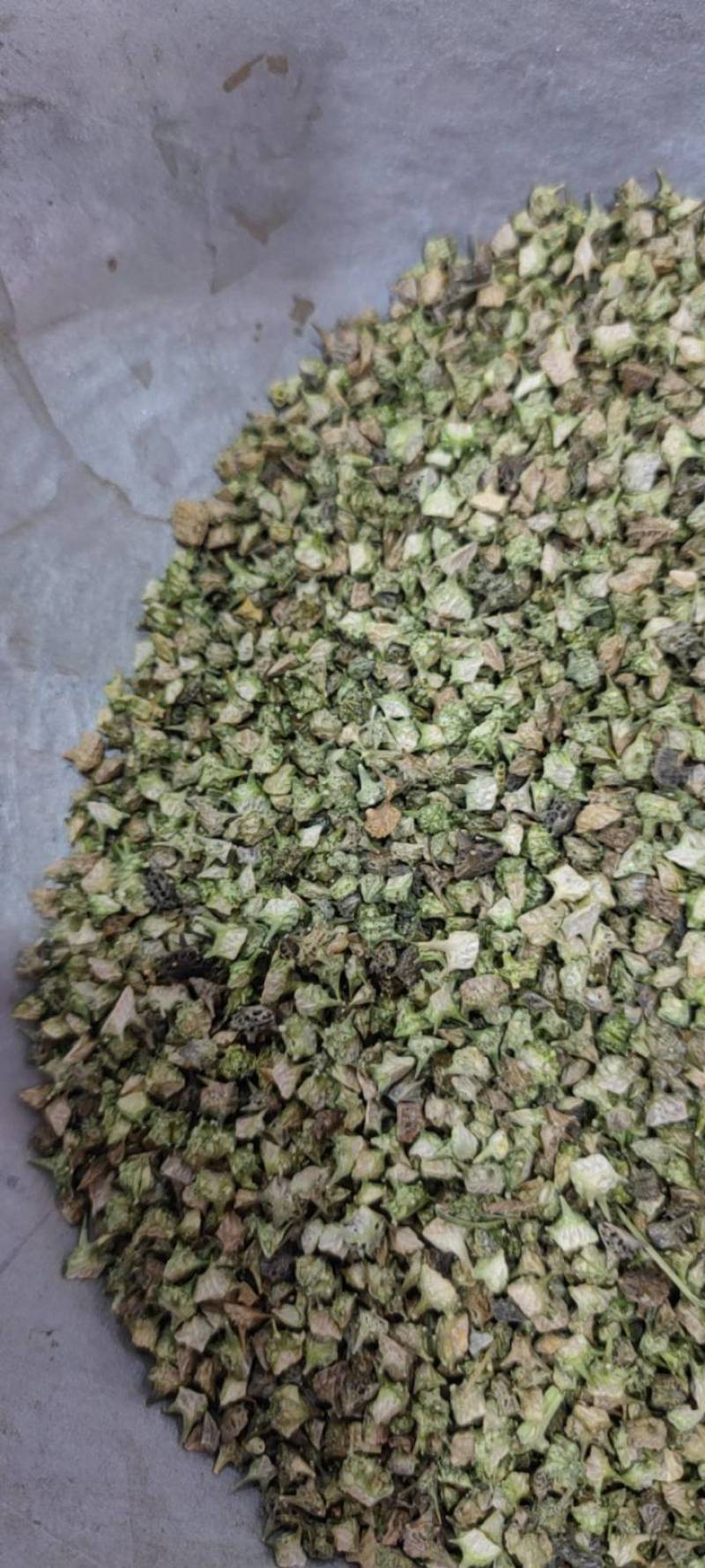 蒺藜刺蒺藜净货各种籽药新货各种中药材