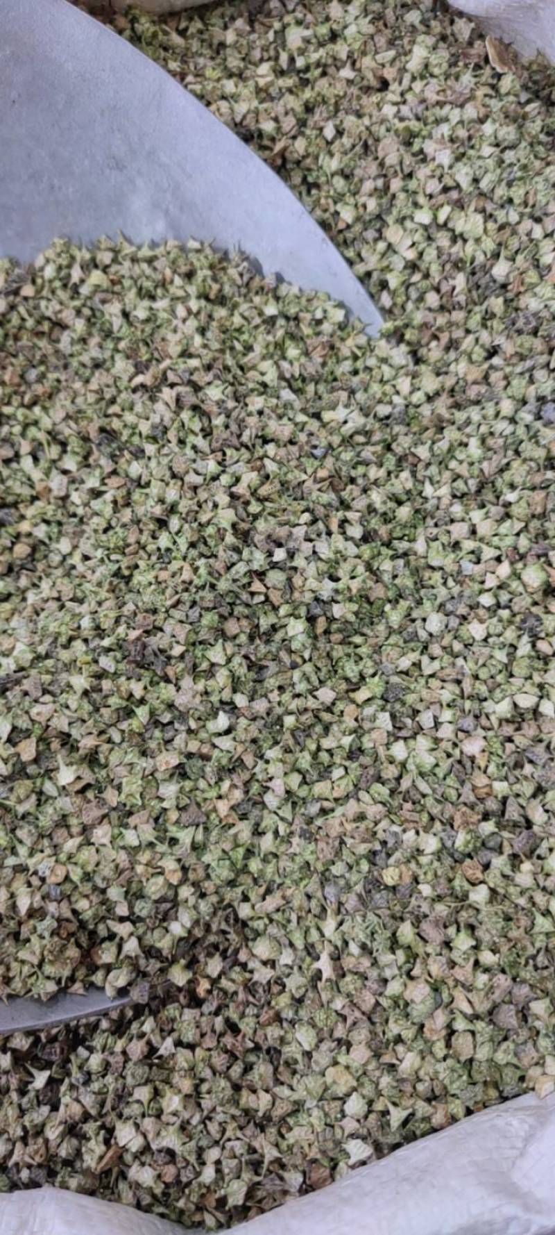 蒺藜刺蒺藜净货各种籽药新货各种中药材