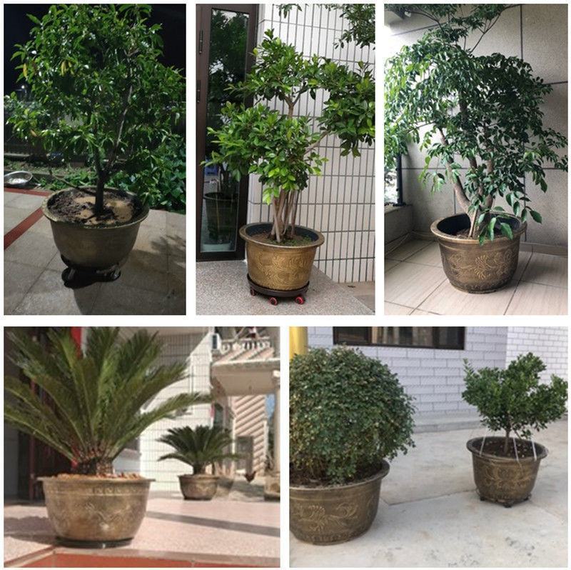 树脂加厚八角仿古花盆荷花蔬菜铁树盆景大号果树阳台庭院特价
