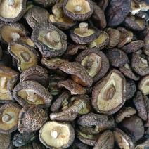 干香菇干货特级精选蘑菇小香茹脚冬菇花菇可批发从优