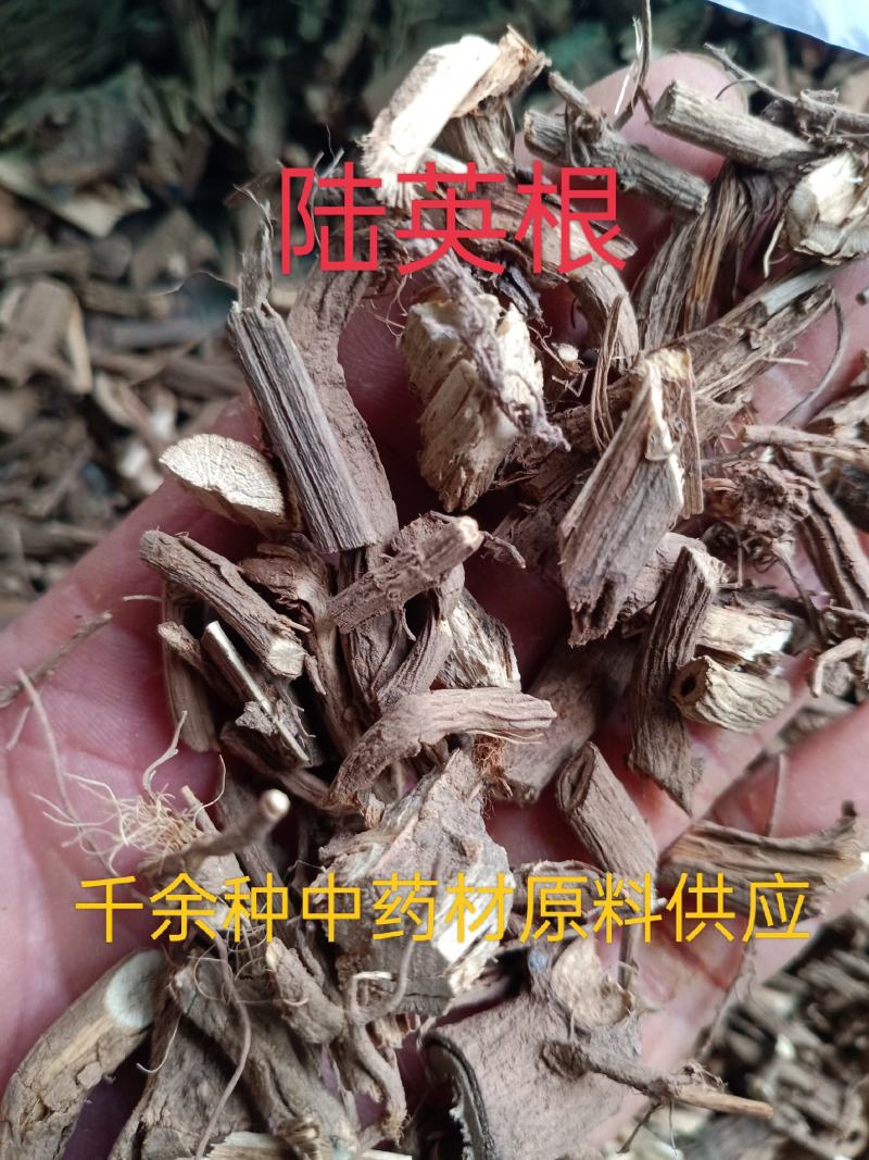 野生陆英根走马箭八棱麻根接骨草根走马风八里麻排风藤根部