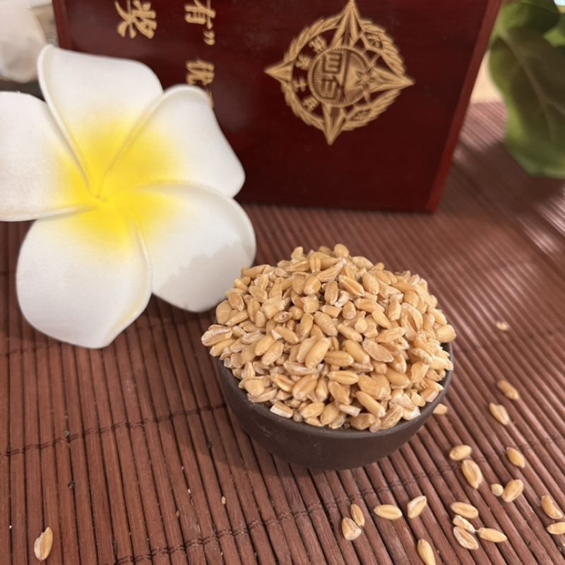 浮小麦选货干净无杂质一手货源产地直销质量保证