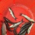 青鱼苗青鱼，草青，螺丝青，品种好，好喂养，抗病力强，技